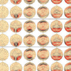 Spread of excitation