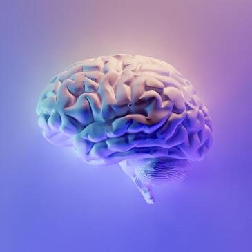 Fakurian-design-58z17lnvs4u-unsplash