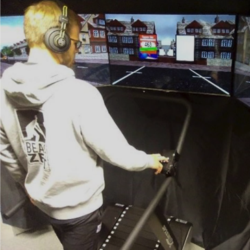 Streetcrossing simulation