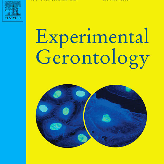 Experimentalgerontology