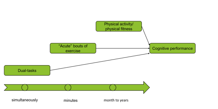 Exercise and Cognition