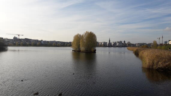 Phoenixsee Blick