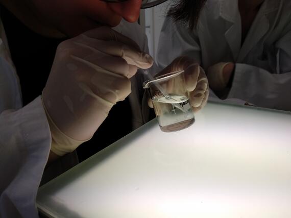 Labor Schmallenberg: Glas im  Gegenlicht