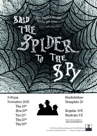 Poster Said the Spider to the Spy (small)