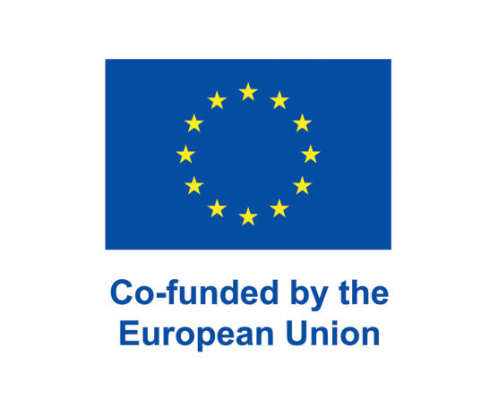 Co-funded-by-the-eu