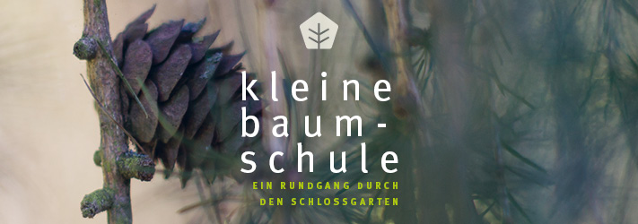 Headergrafik Kleine Baumschule
