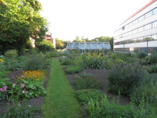 Der 2018 angelegte Garten an der Corrensstrasse