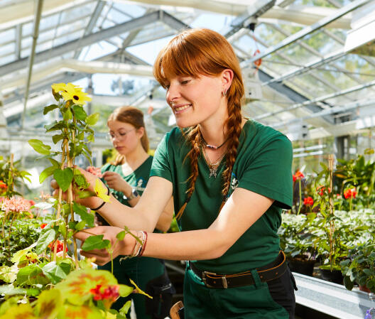 Zwei junge Frauen in grüner Arbeitskleidung pflegen lächelnd Blumen und Pflanzen in einem hellen Gewächshaus.