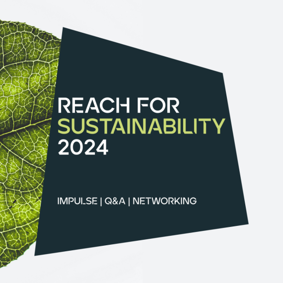 REACH for Sustainability Ankündigung 2024 - R4S 2024_Ankündigung_Instagram Feed_1