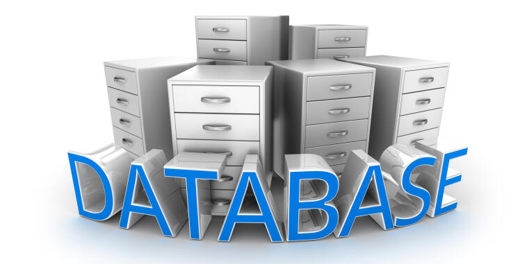 Database