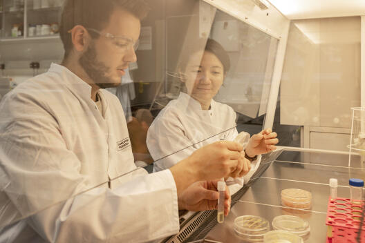 Academic staff conduct research in the laboratory.