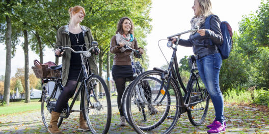 Three students with bicycles