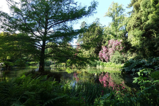 Vegetation im Botanischen Garten, der im Herzen von Christchurch liegt.