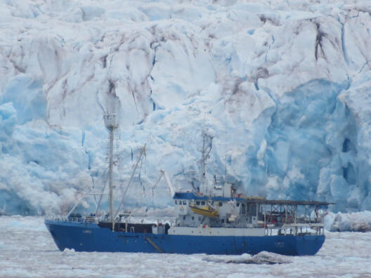 Das Forschungsschiff „Lance“ vor dem Kronebreen-Gletscher