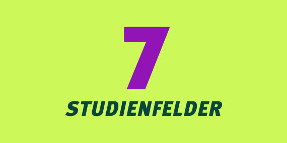 Studienfelder