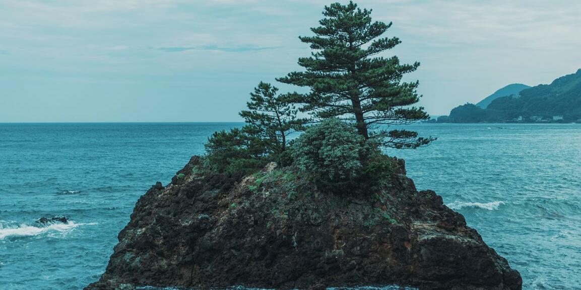 Kleine Felseninsel mit einem großen und einem kleinen Baum im Meer