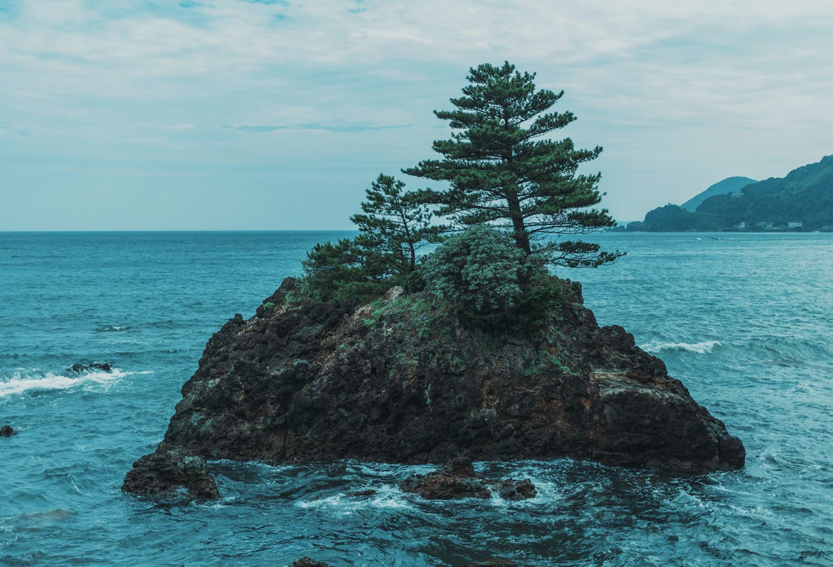 Kleine Felseninsel mit einem großen und einem kleinen Baum im Meer