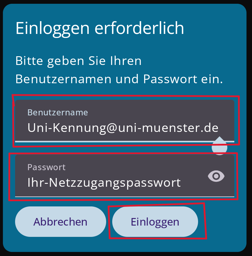 3. Login-Informationen eingeben