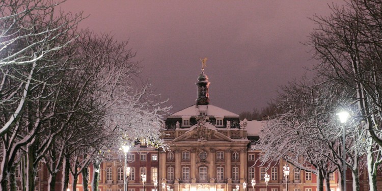 In den Tagen um Weihnachten und Silvester kommt die WWU zur Ruhe: Die zentralen Einrichtungen haben gesonderte Öffnungszeiten.<address>&copy; WWU - Dada Petrole</address>