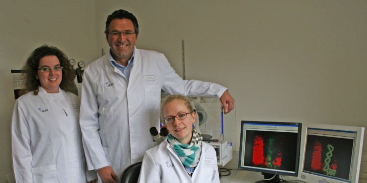 Lead author Swantje Liedmann (r.) with the heads of the study: Dr. Christina Ehrhardt (l.) und Prof. Stephan Ludwig<address>© WWU</address>