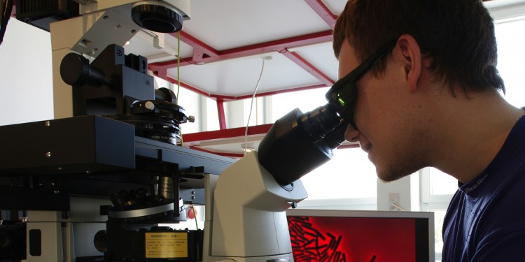 Ein Wissenschaftler bei der optischen Manipulation von Bakterien<address>© WWU</address>