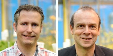 Dr. Christian Schulze Gronover (links) und Prof. Dr. Dirk Prüfer<address>© WWU - Peter Grewer</address>