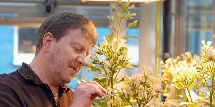 Prof. Dr. Jörg Kudla untersucht den Einfluss von Genen auf die Stressreaktion von Pflanzen.<address>© WWU - Grewer</address>