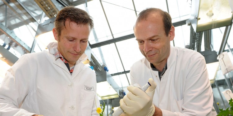 Prof. Dr. Dirk Prüfer (rechts) und Dr. Christian Schulze Gronover erhalten die Hanson-Medaille der "Institution of Chemical Engineers".<address>&copy; WWU - Grewer</address>
