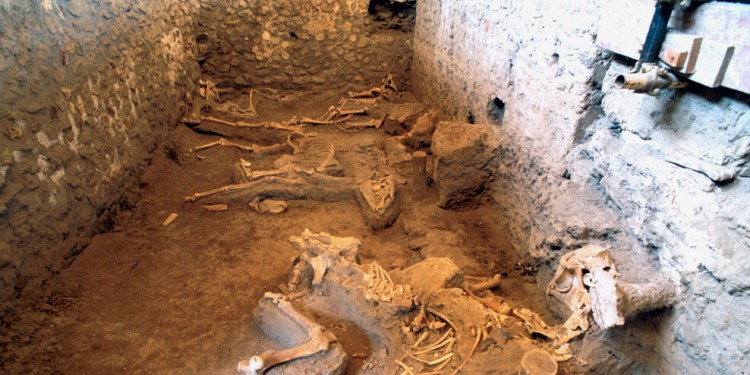 Dead horses conserved under Vesuvian ash in a stable at the Casa dei Casti Amanti.<address>© Giovanni Lattanzi / Archart.it</address>