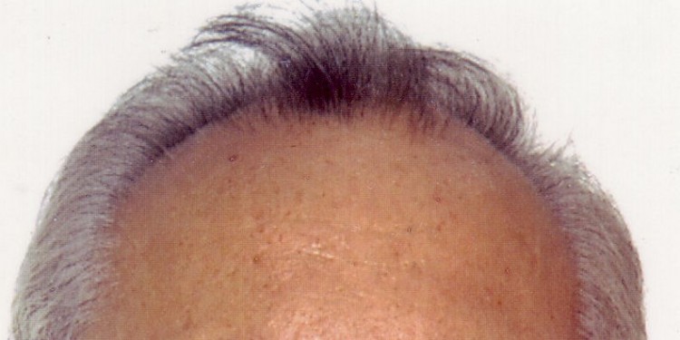 Prof. Dr. Wolfram Lippe<address>&copy; privat</address>