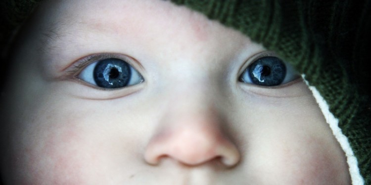 Kindchenschema: große Augen und runde Wangen<address>© Kthulhu/Photocase</address>