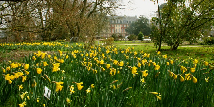 Ostern an der WWU Botanischer Garten für Spaziergänge
