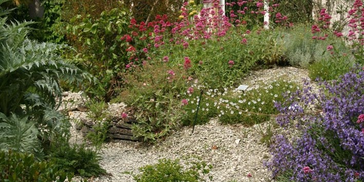 Das Mittelmeerquartier im Botanischen Garten<address>&copy; WWU/Botanischer Garten</address>