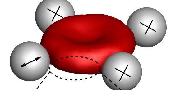 In Experimenten und Computersimulationen haben die Forscher rote Blutkörperchen wieder und wieder deformiert, sie "zappeln" lassen und ihr Verhalten analysiert. Drei winzige Kugeln halten die Zellen dabei fest, während mit Hilfe einer vierten Kugel die Bewegungen der Zellmembran gemessen werden. Die "Hülle" der Blutkörperchen besteht aus einer Lipid-Doppelschicht und einem Zellskelett; aktive Kräfte, verursacht z.B. durch eine Ionenpumpe, bewegen Membran (rote Pfeile) und Flüssigkeit (grüne Pfeile) lokal in entgegengesetzten Richtungen.<address>&copy; Dmitry Fedosov/Forschungszentrum Jülich</address>