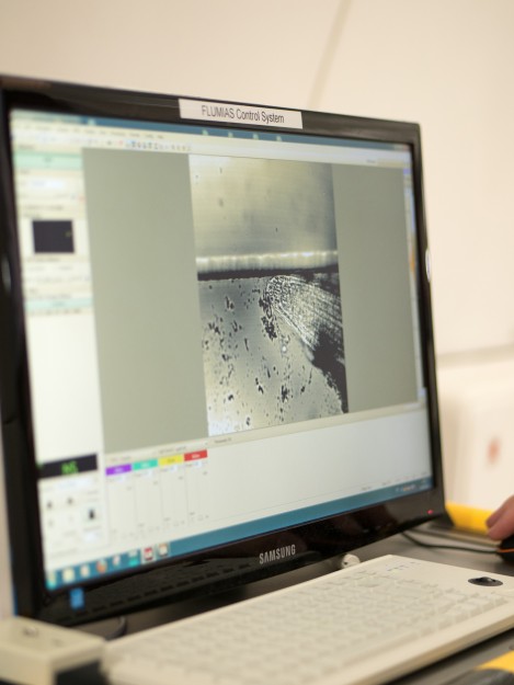 Dr. Maik Böhmer und Hamed Al Ameen können in den Phasen der Schwerelosigkeit nur zuschauen. Das Mikroskop läuft von selbst ... Auf dem Bildschirm ist die Wurzelspitze einer Pflanze zu sehen. © Novespace