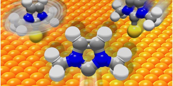 Die gelben Kugeln symbolisieren einzelne Gold-Atome. Vorn: Ein Carben-Molekül bindet an ein Gold-Atom und hebt es aus der Oberfläche. Links: Bindung und Herausheben sind abgeschlossen, das Carben-Molekül kann nun frei rotieren. Rechts: Das Carben-Molekül gleitet auf einem Gold-Atom frei über die Oberfläche, kann sie aber nicht verlassen.<address>© WWU/Harald Fuchs</address>
