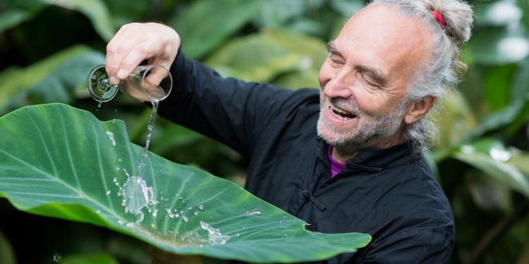 Wissenschaft zum Anfassen: Herbert Voigt demonstriert den "Lotus-Effekt" an einem Blatt.<address>&copy; WWU/Peter Leßmann</address>