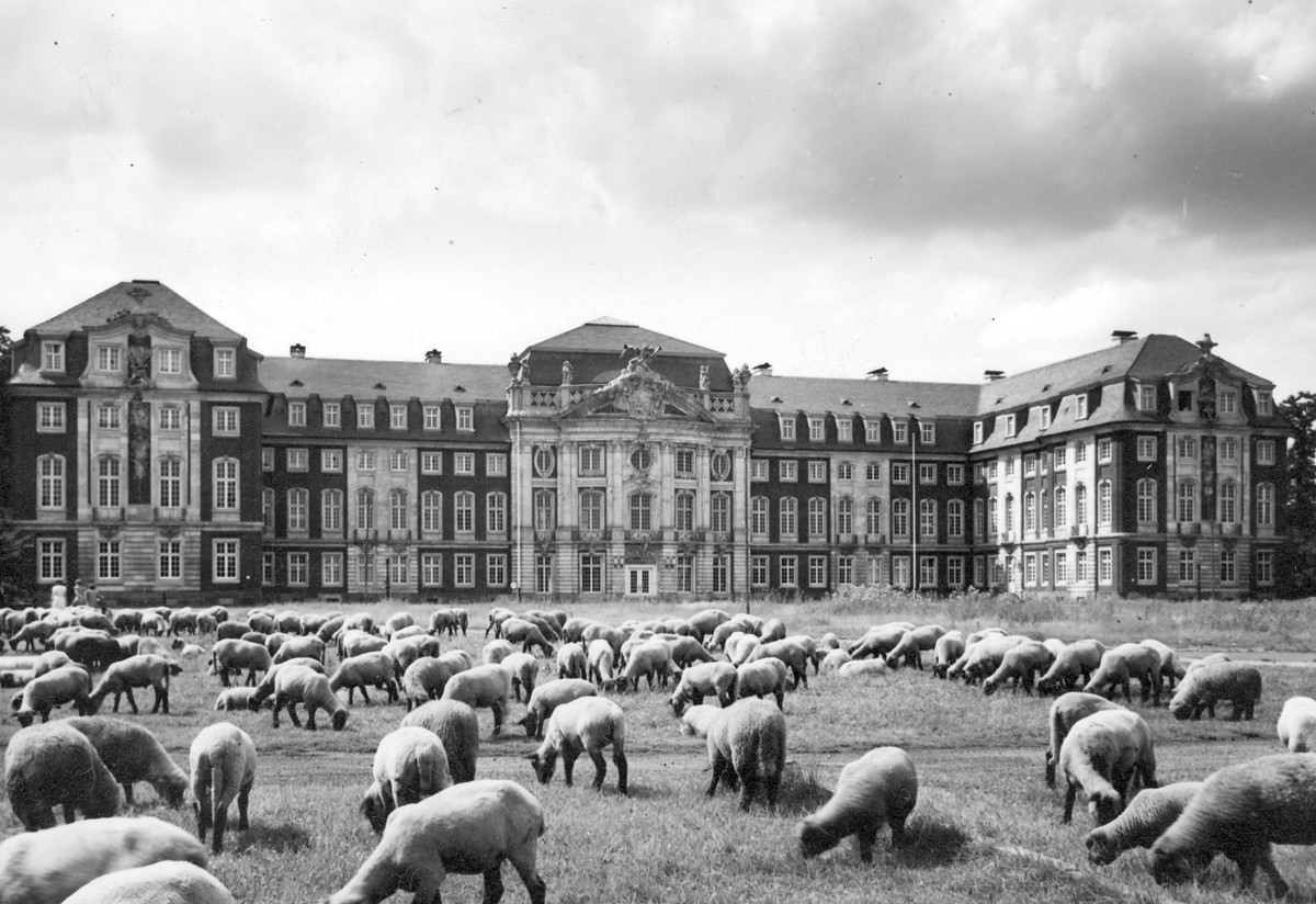 Ansicht des Schlosses nach dem Wiederaufbau, noch ohne Glockenturm (Aufnahme 1952/54) © Universitätsarchiv 68/0094