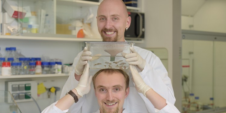 Physiker Robert Meißner (oben) und Biologe Wade Sugden<address>© CiM - Peter Grewer</address>
