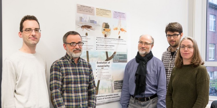 The researchers from the Institute for Evolution and Biodiversity (l-r): Dr Carsten Kemena, Dr Mark Harrison, Prof Dr Erich Bornberg-Bauer, Alberto Lopez und Dr Evelien Jongepier<address>© WWU/Peter Leßmann</address>