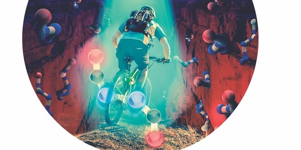 The &quot;molecular bicycle pedal study&quot; inspired the journal &quot;Angewandte Chemie&quot; to create this cover illustration.<address>© Cover Picture Amirjalayer S. et al. (Angew. Chem. Int. Ed. Volume 57, Issue 7, February 12, 2018, Pages 1792–1796); Copyright Wiley-VCH Verlag GmbH and Co. KGaA. Reproduced with permission.</address>