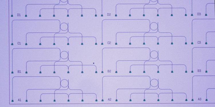 The research project uses nanophotonic chips with waveguide structures. These chips are equipped with phase change materials and perform optical calculation functions. This makes data transmission much faster than before.<address>© WWU/Johannes Feldmann</address>