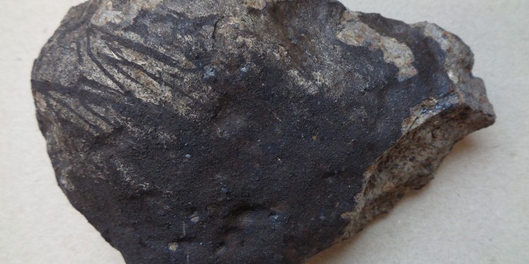 Das fast ein Kilogramm schwere Stück des Renchen-Meteoriten<address>© Dieter Heinlein (Augsburg)</address>