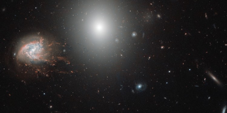Blick in das Weltall: Der Coma-Galaxienhaufen, eine Ansammlung von mehr als 1000 Galaxien (aufgenommen vom Hubble-Weltraumteleskop)<address>© ESA/Hubble & NASA</address>