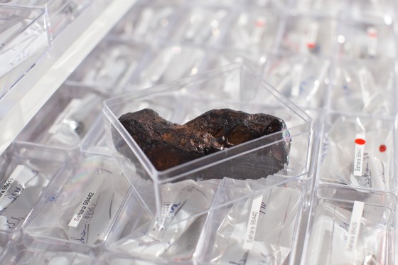 Jeder Meteorit lagert in einem kleinen Kästchen.<address>© WWU - Peter Leßmann</address>