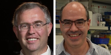 Physiker Prof. Dr. Christophe Royon (links) und Biotechnologe Prof. Dr. Gurvan Michel<address>© privat/AG Prof. Moerschbacher</address>