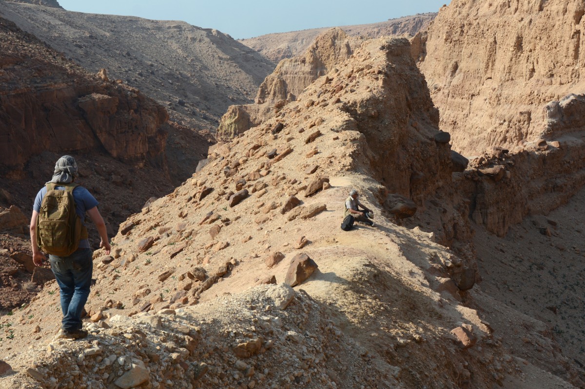Some of the fossil localities lie a long and strenuous hike up the wadis that cut the steep slopes of the Dead Sea coast.© Palaeobotany Research Group Münster/P. BLOMENKEMPER ET AL., SCIENCE, 362/1414 (2018)