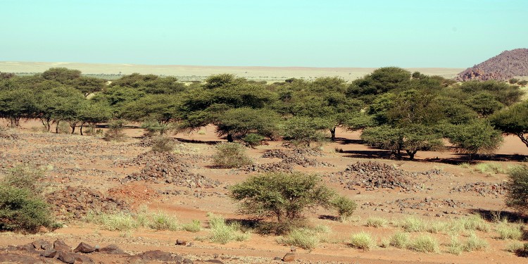 In der Nähe des Bergs &quot;Jebel Haraza&quot; (Sudan) wird die Durchmischung deutlich von verschiedenen Grabformen unterschiedlicher kultureller Herkunft.<address>© WWU - InterLINK</address>