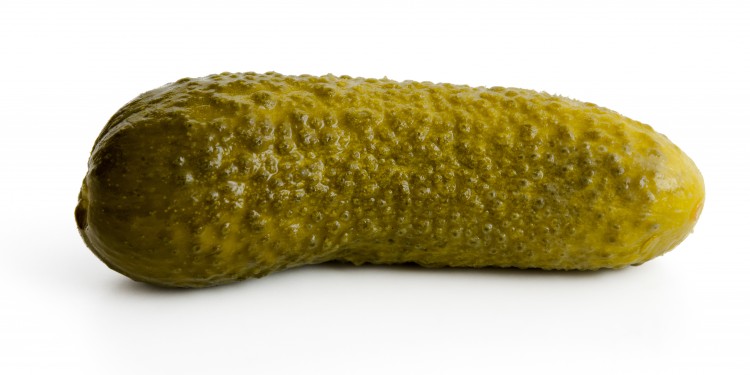 Saure Gurke<address>&copy; womue - stock.adobe.com</address>