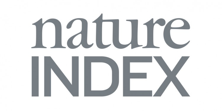 The &quot;Nature Index&quot; considers publications in major scientific journals from the natural and life sciences.<address>© Nature Index</address>